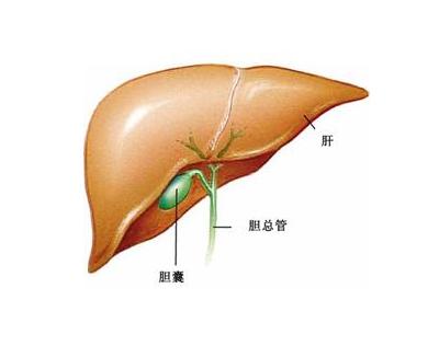 福州中医肿瘤：胆管癌的症状表现